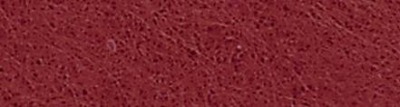 H4840024.jfif